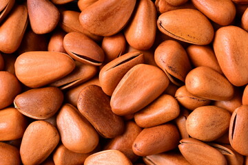Pine nut background