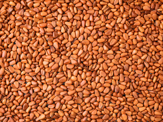 Pine nut background