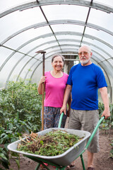 Two elderly people in   greenhouse