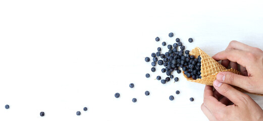 Obraz premium blueberry fruit poured out of a waffle cone onto a light surface, top view. summer wild berries