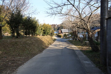田舎道