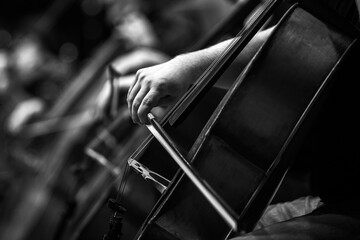 Hands of a musician playing the cello in an orchestra in black and white © furtseff