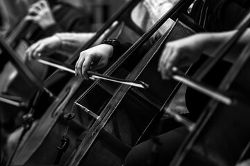 Hands of a musician playing the cello in an orchestra in black and white 