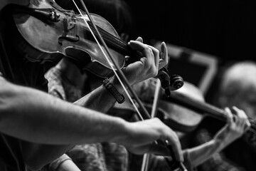 Violinist's hands in the orchestra in black and white 