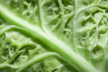 Green fresh natural leaf textured background