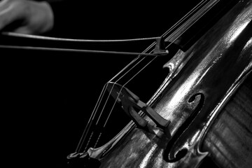 Close-up of bow on cello strings in black and white