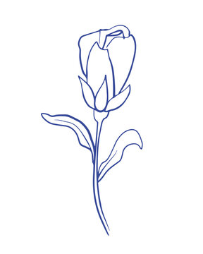 Rose Flower. Line art doodle. vector illustration