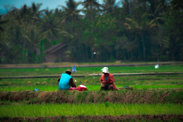 Farmer