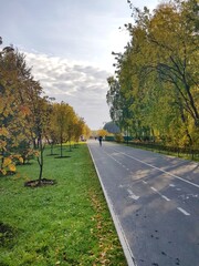 Obraz premium autumn in the park