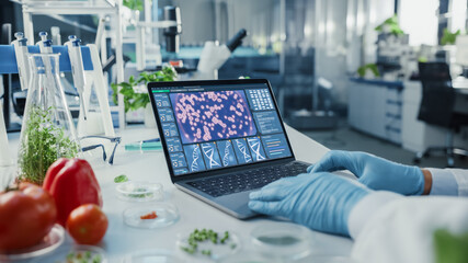 Male Scientist Working on a Laptop Computer with Display Showing Gene Editing Interface....