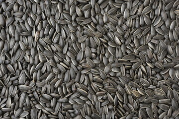 Sunflower seeds background