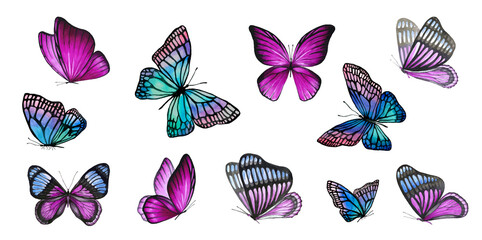 Collection of watercolor flying butterflies on a white backgroun