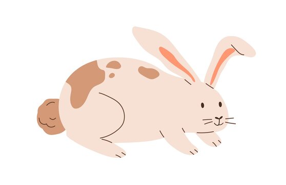 Cute spotted rabbit isolated on white background. Happy bunny. Funny animal character. Colored flat cartoon vector illustration