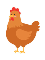 chicken