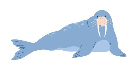 Cute and funny blue walrus with tusks lying and relaxing. Happy arctic animal character isolated on white background. Childish colored flat cartoon vector illustration © Good Studio