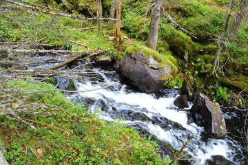 waterfall flowing down the stones in karelia