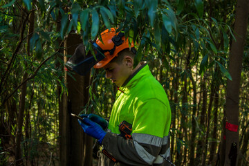 lumberjack using mobile phone in forest