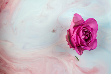 Abstrakte Verwirbelungen von Acrylfarben mit einer Rose