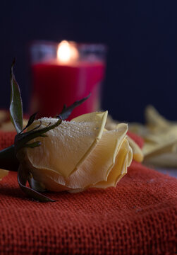 yellow rose with a candle