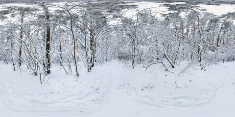 Winter full spherical hdri panorama 360 degrees angle view on path in snowy pinery forest  in equirectangular projection. VR AR content. cyclone aftermath lars