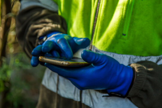 forest worker using smartphone in the forest