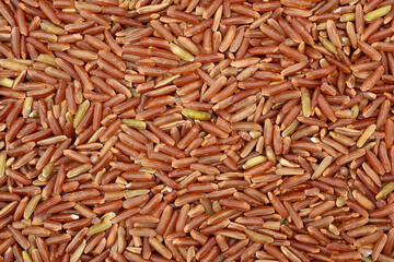 Red rice on white background 