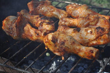 meat on the grill 