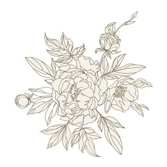 beautiful peonies decoration