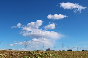 初春の空　渡良瀬　堤防　風景