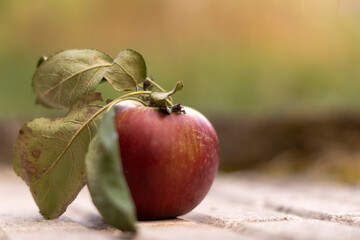 Red apple with leaves on a white floor and green background
