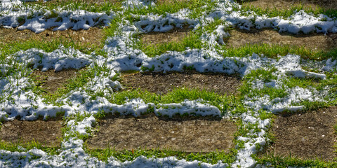 herbe dalle et neige 
