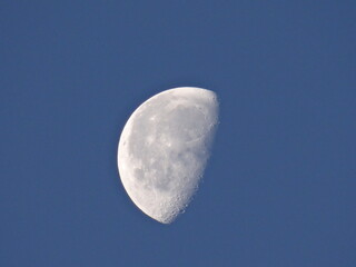 moon in the sky