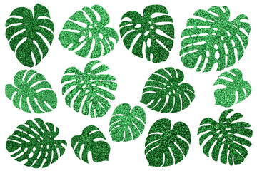 Tropic leaves with glitter texture. Universal silhouettes set on white background