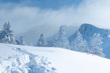 十勝連峰モンスターの住む雪山