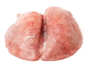 pig lung isolated on a white background
