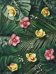 Tropical layout made with exotic palm leaves and vibrant fresh orchid flowers. Creative spring or...