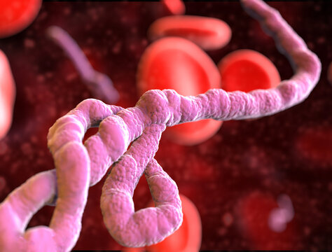 Ebola Hemorrhagic Fever" Images – Browse 31,638 Stock Photos, Vectors, and Video | Adobe Stock