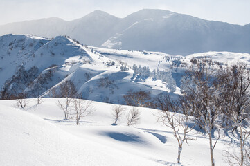 モンスターの住む雪山