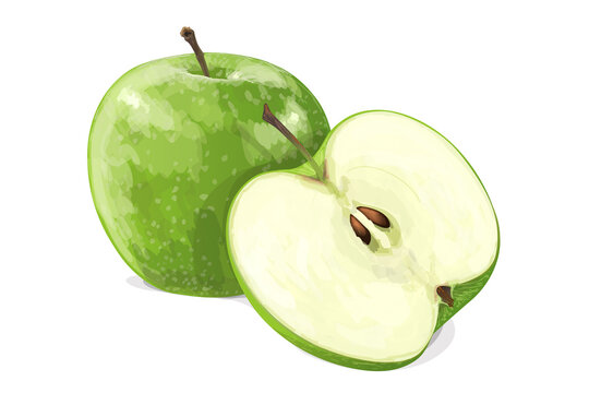 Green apple with half isolated on white background. Vector illustration
