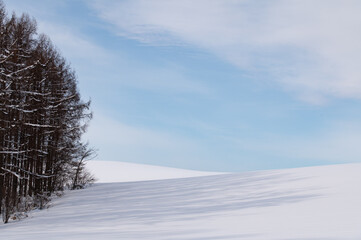 冬美瑛の素敵な雪影