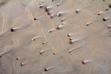 Beautiful colorful pebbles, stones in beach sand. Color photo for background.