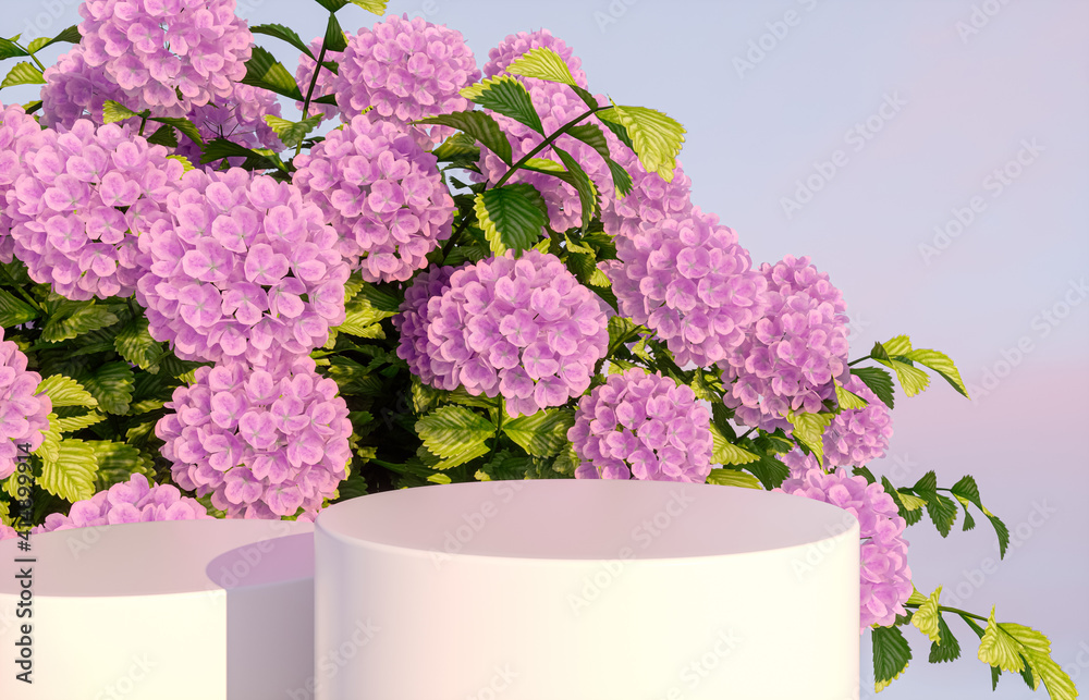 Aufkleber natural beauty podium backdrop for product display with hydrangea flower. 3d render.