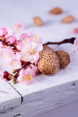 Almond nuts in the shell with a blossoming flower on a rustic white wooden background.