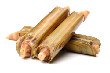 Razor clams isolated on white background.