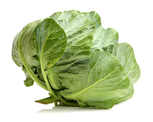 Obraz premium Cut cabbage on white background