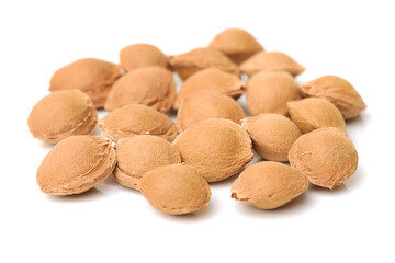 apricot kernel isolated on white background
