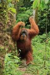China Tibet View to the Namtso Lake