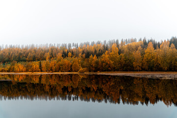 A calm lake or fjord in norway with a reflecting water surface - in the background you can see a lush and colorful autumn forest, mist gently covers the treetops - the concept of wanderlust, peace
