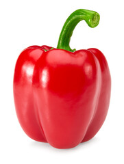 one red sweet bell pepper isolated on white background. clipping path