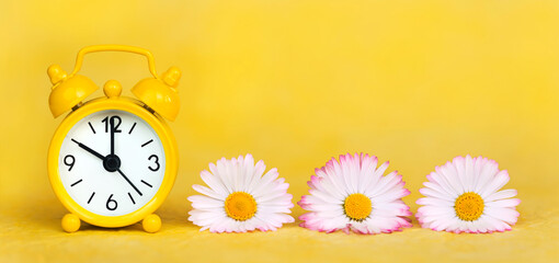Daylight savings time banner, daisy flowers and clock watch on yellow background. Spring forward, springtime or summer concept.